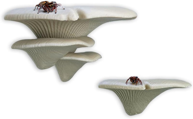 Daerky Jumping Spider Mushroom Shelf, Magnetically Concealed Jumping Spider Habitat,Serves As Enclosure Decorate Accessories for Spider Climbing Feeding and Platforms (Simulated wood) - Image 1
